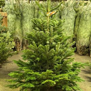 Wholesale Christmas trees pallet of 50 artificial resale trees from Vault Bridge Liquidators