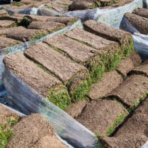 Pallet of sod for sale with 450 sq ft of fresh-cut turf grass shrink-wrapped on a shipping pallet