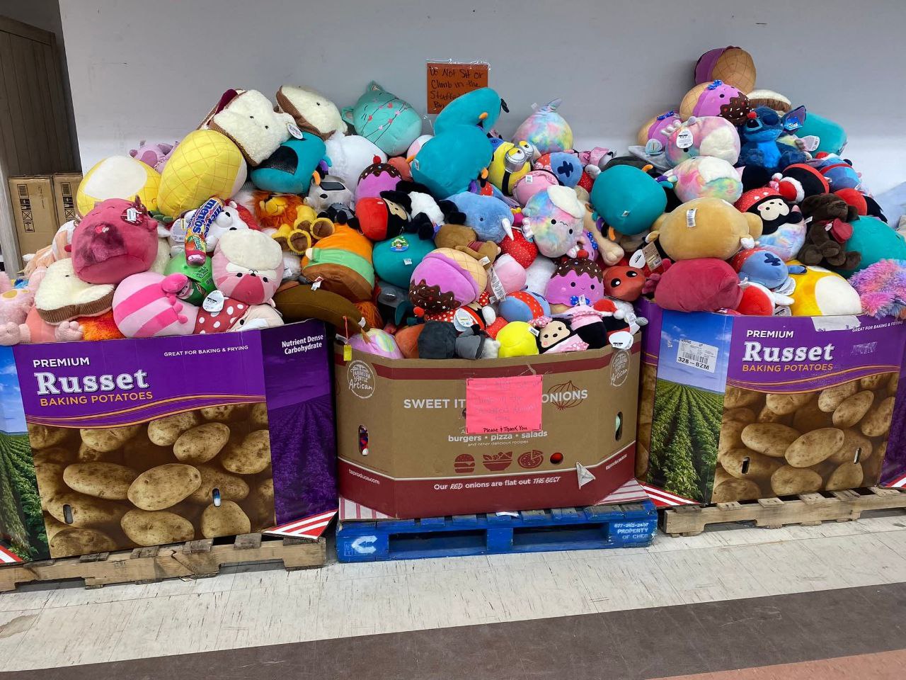 photo_2025-12-17_13-06-44 Wholesale dog toys pallet with 500 assorted chew, plush, rope and squeaky toys for resale