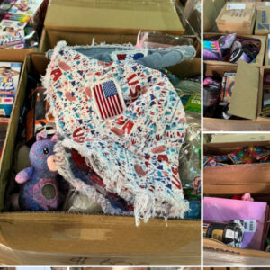 High piece count novelty pallet stacked with mostly new general merchandise and electronics for resale